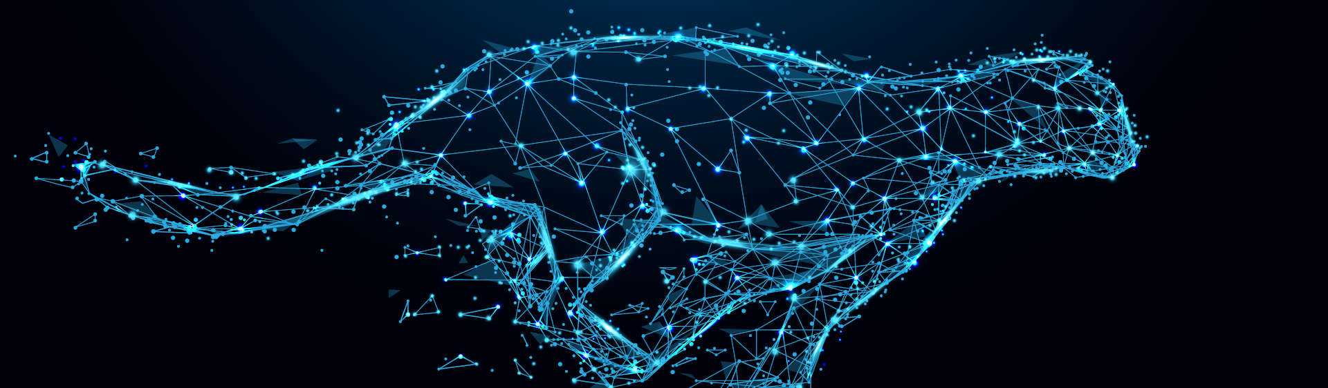 Gazduire VPM KVM oferita de experti